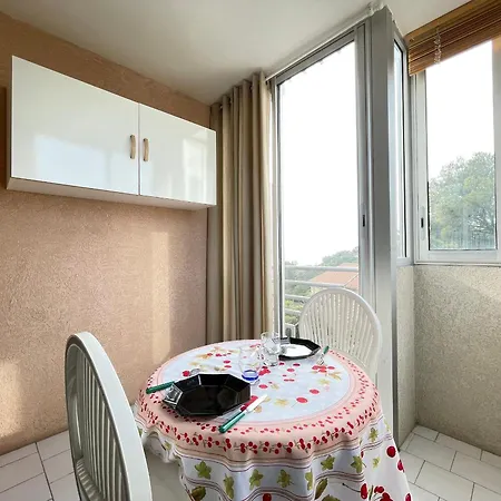 شقة A Proche Plage, Animaux Admis, Parking - Fr-1-338-95 *