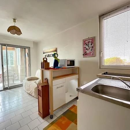 A Proche Plage, Animaux Admis, Parking - Fr-1-338-95 Sète