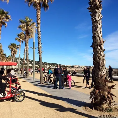 Apartament A Proche Plage, Animaux Admis, Parking - Fr-1-338-95 *